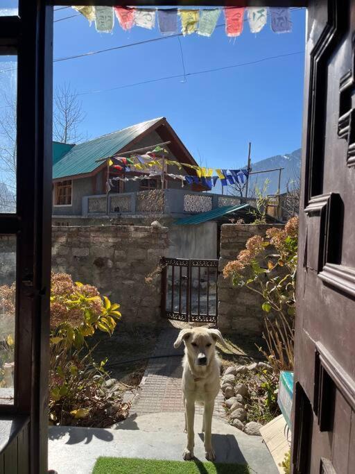 Gharsa - Your Mountain Home Manali  Luaran gambar